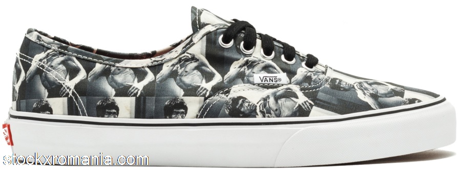 Vans Authentic Supreme Bruce Lee (White)VN0000ANM